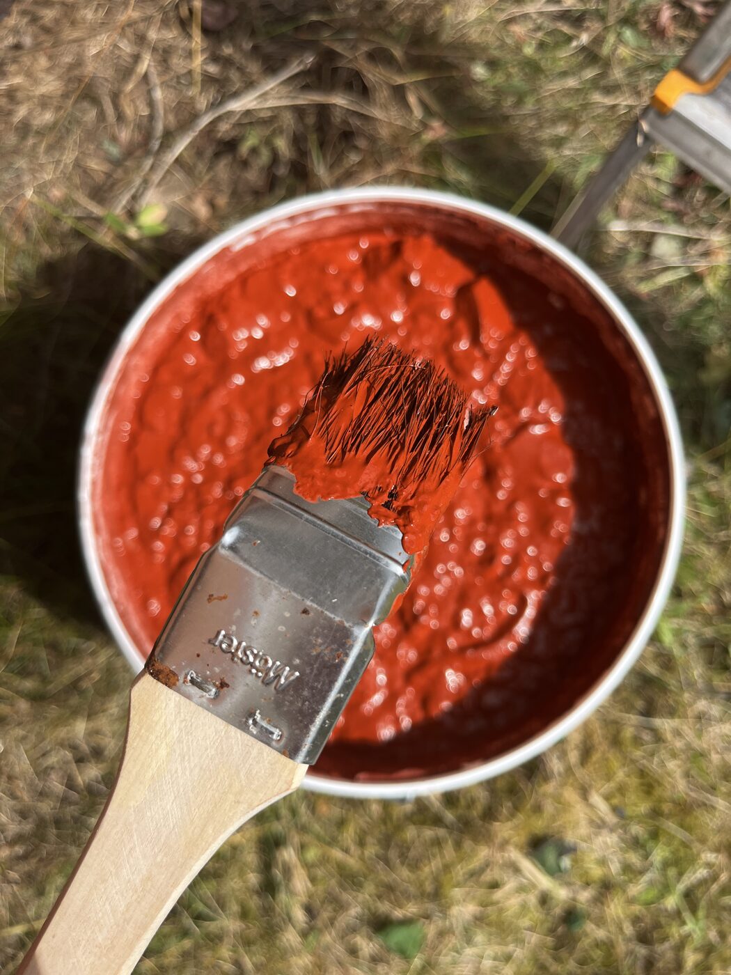 Pinsel in Schwedenrot